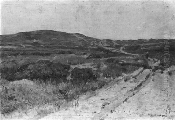 Dunenlandschaft - view 1