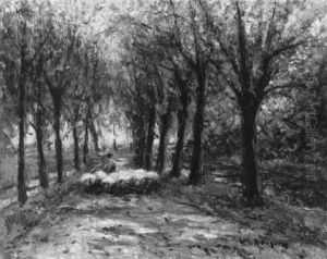 Allee Mit Schafherde Allee Mit Schafherde