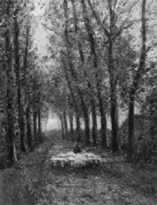 Schafer Mit Herde Auf Einer Pappelallee