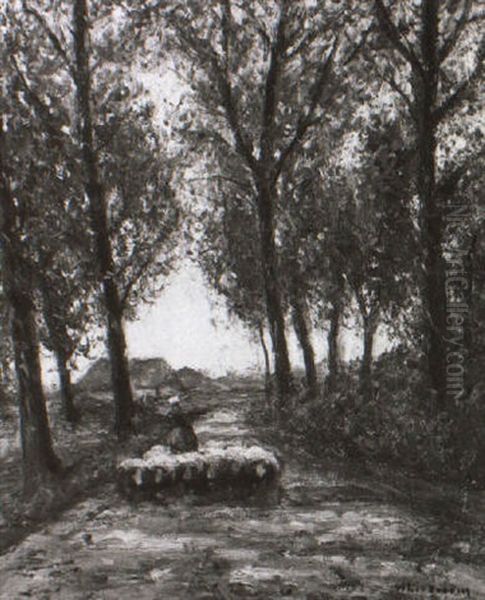 Landliche Allee Am Niederrhein - view 1