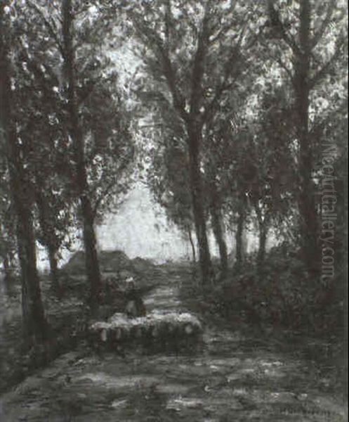 Allee - view 1
