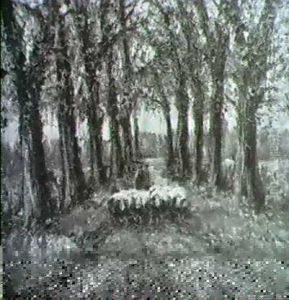 Am Niederrhein by Helmuth Liesegang