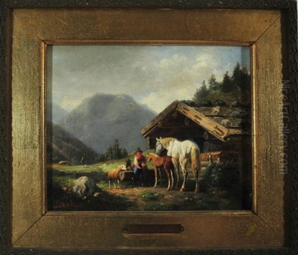 Bauerin Futtert Ihre Stute Mit Fohlen, Schaf Und Ziege Auf Der Alm - view 1