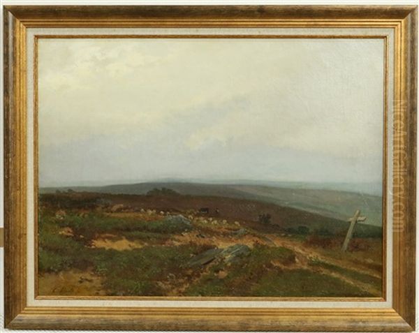 Avondstemming Over Heidelandschap - view 1