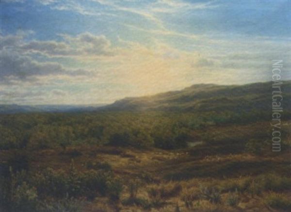 Sunset Over Heathland - view 1