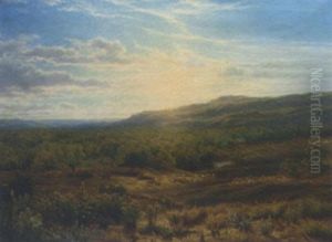 Sunset Over Heathland by Cornelis Lieste