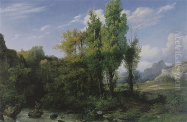 Bosachtig Berglandschap Met Visser Bij Een Beekje - view 1
