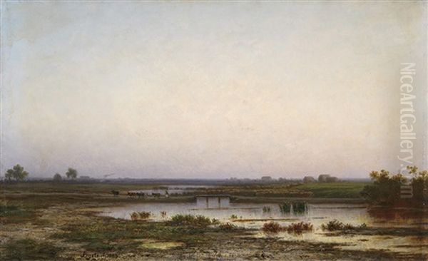 Swampland - view 1