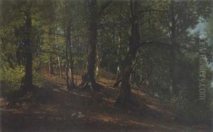 Sommerlicher Laubwald Sommerlicher Laubwald