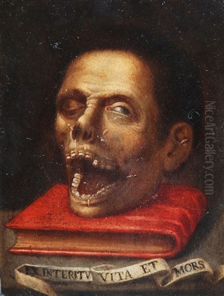 Vanitas (+ Ritratto Di Gentiluomo Con Baffi, Verso) - view 1