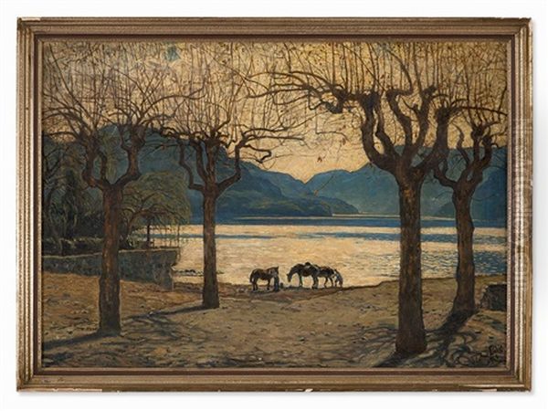 Shore Of Lake Maggiore - view 1