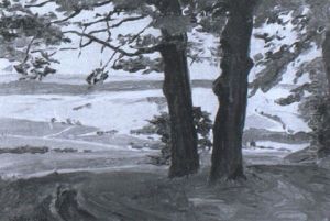 Blick Aus Einem Wald Uber Eine Weite Landschaft by Walter Lilie