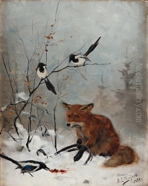 Trapped Fox - view 1