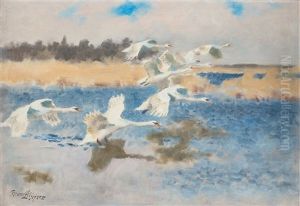 Swans by Bruno Andreas Liljefors