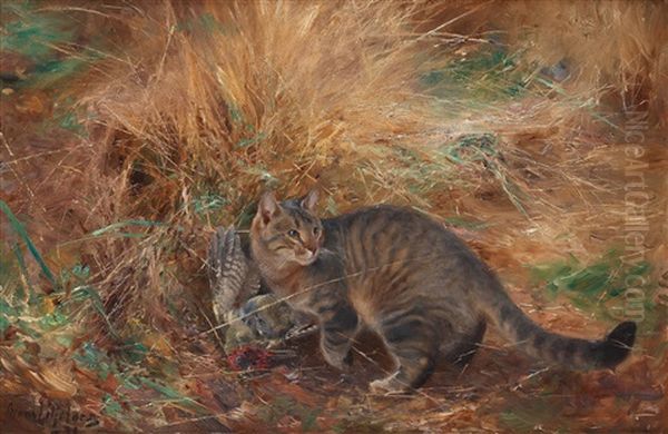 Cat With European Green Woodpecker - view 1
