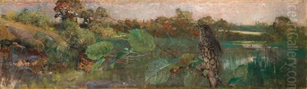 Sangtrasten (the Song Thrush) - view 1