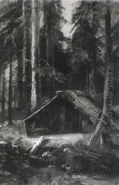 Holzhauerhutte An Der Murg - view 1