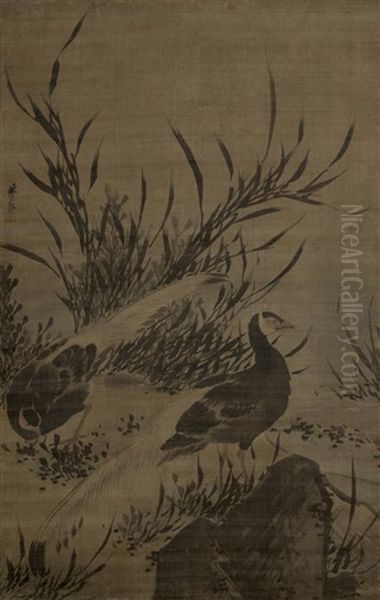 Two Silver Pheasants By Orchids - view 1