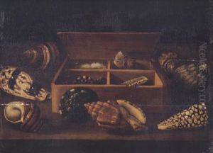 A Still Life Of Shells In A Wooden Box Surrounded By Other Shells, Including Turbo Petholatus, Conus Imperialis, Turbo Bruneus And Conus Marmoreus On A Table