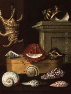 Nature Morte Aux Coquillages Et A La Boite De Copeaux