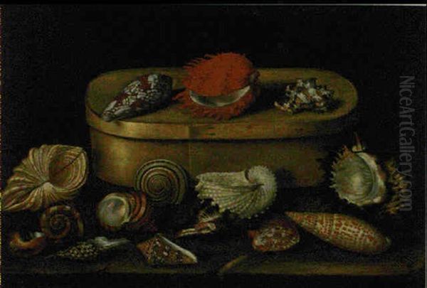 Nature Morte A La Boite De Copeaux Et Aux Coquillages - view 1