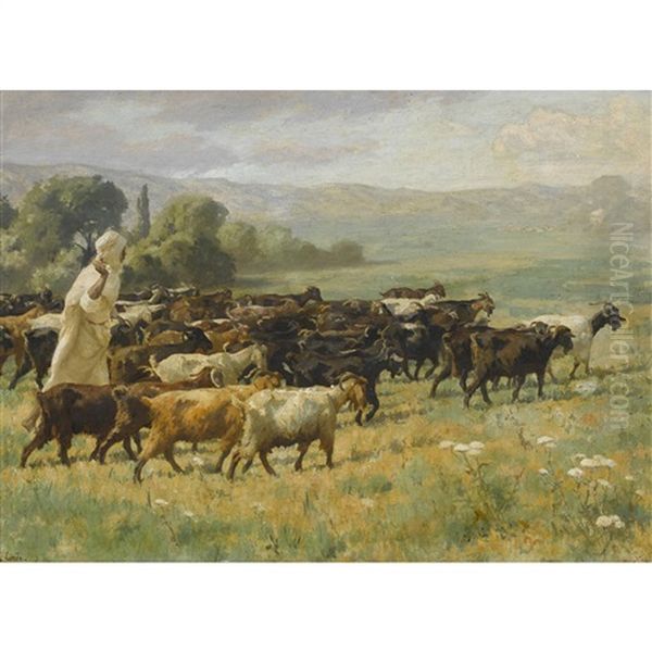 Ziegenherde Mit Arabischem Hirte - view 1