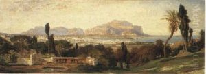 A View Of Palermo