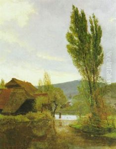 Schwarzwaldtal In Der Abendsonne by Manfred Lindemann-Frommel