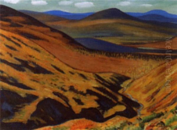 Herbstliche Landschaft In Finnland - view 1