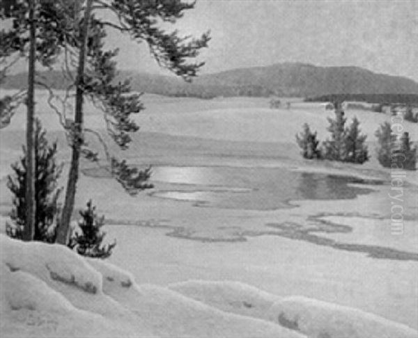 Solljus Over Vinterlandskap - view 1