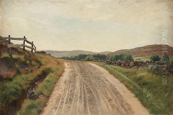 The Road To Skarvik, Hisingen, Gothenburg - view 1