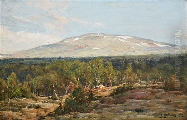 Storfjeldet - view 1