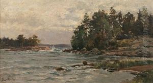 Paysage Lacustre Aux Pins