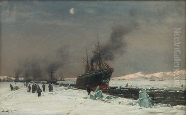 Breaking Ice By The Shore - view 1