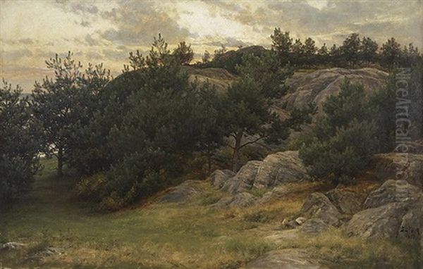 Rocky Landscape - view 1