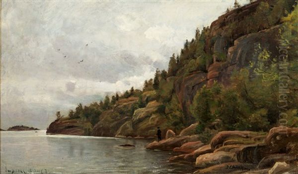 Lake View In August From Impilahti Finland - view 1