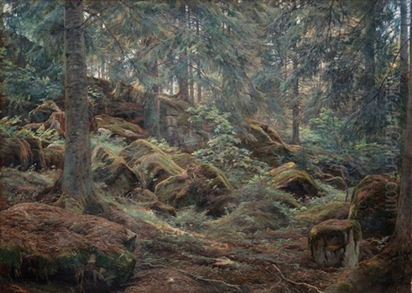 In The Forest - view 1