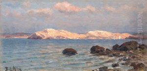 From The Shore From The Shore