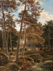 On A Forest Path