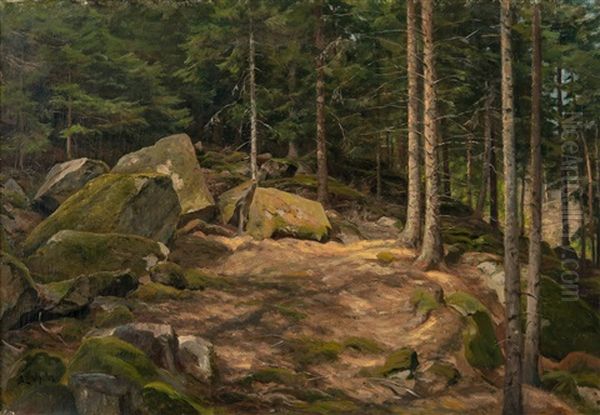 Forest View - view 1