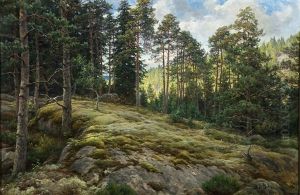 Pine-growing Rocky Slope