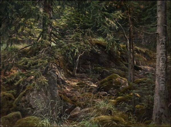 Valoa Metsassa - view 1