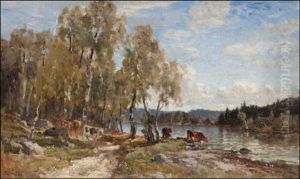 Laiduntavia Lehmia Jarven Aarella Laiduntavia Lehmia Jarven Aarella