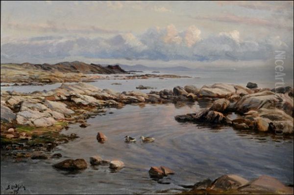 Haahkoja Meren Rannalla - view 1