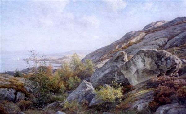 Aurinkoinen Kesapaiva Rannikolla - view 1