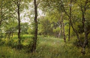 Metsaaukeama by Berndt Adolf Lindholm