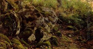 Sasmmaloituneet Kivet by Berndt Adolf Lindholm