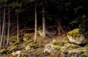 Skogsglanta by Berndt Adolf Lindholm