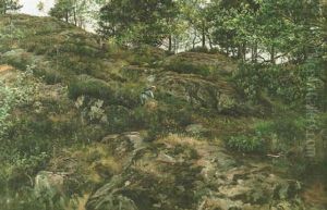 Marjanpoimijoita Metsakallioilla