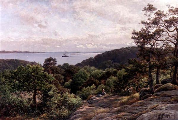 Vy Over Kustlandskap - view 1